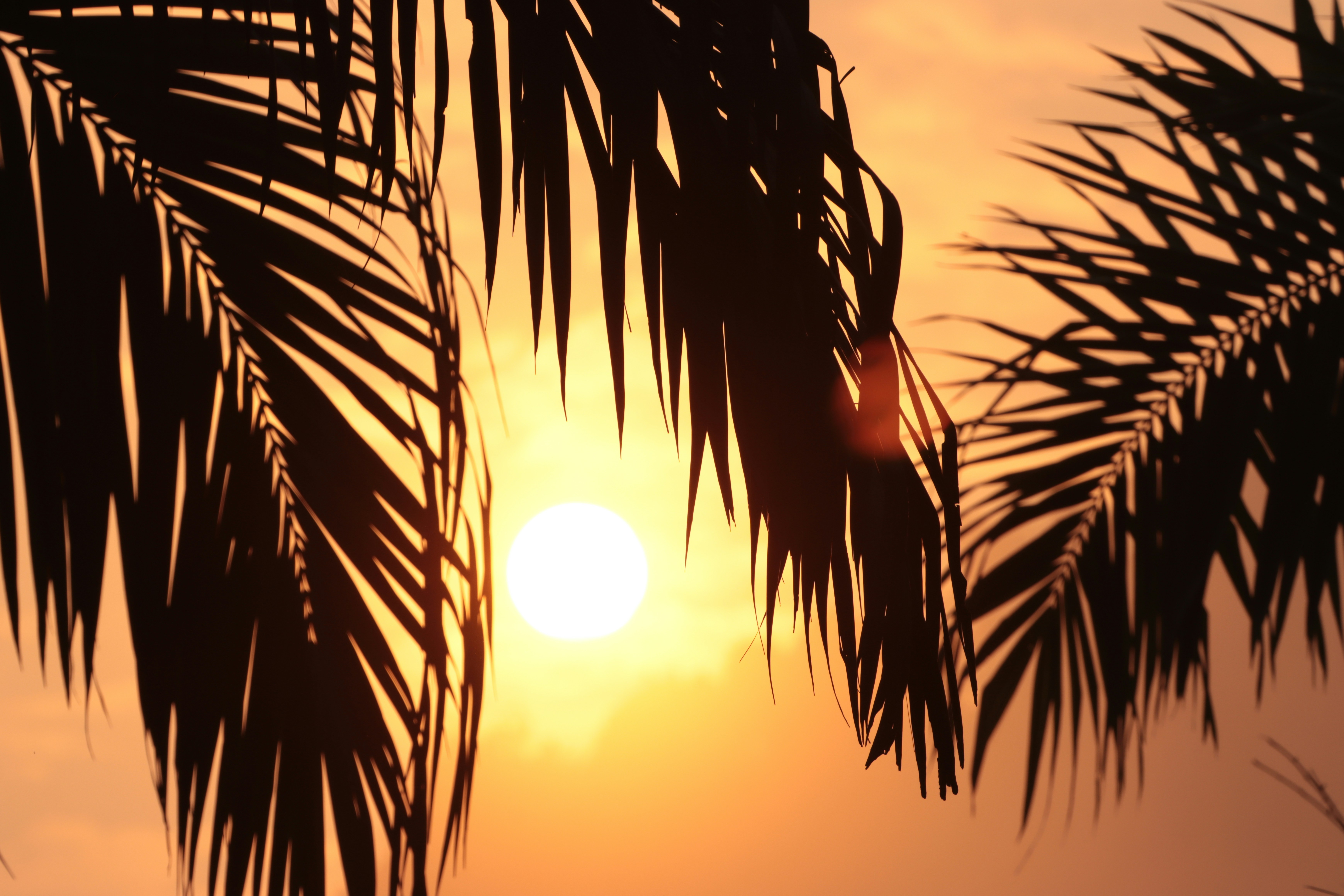 Photo by vincentvrstn