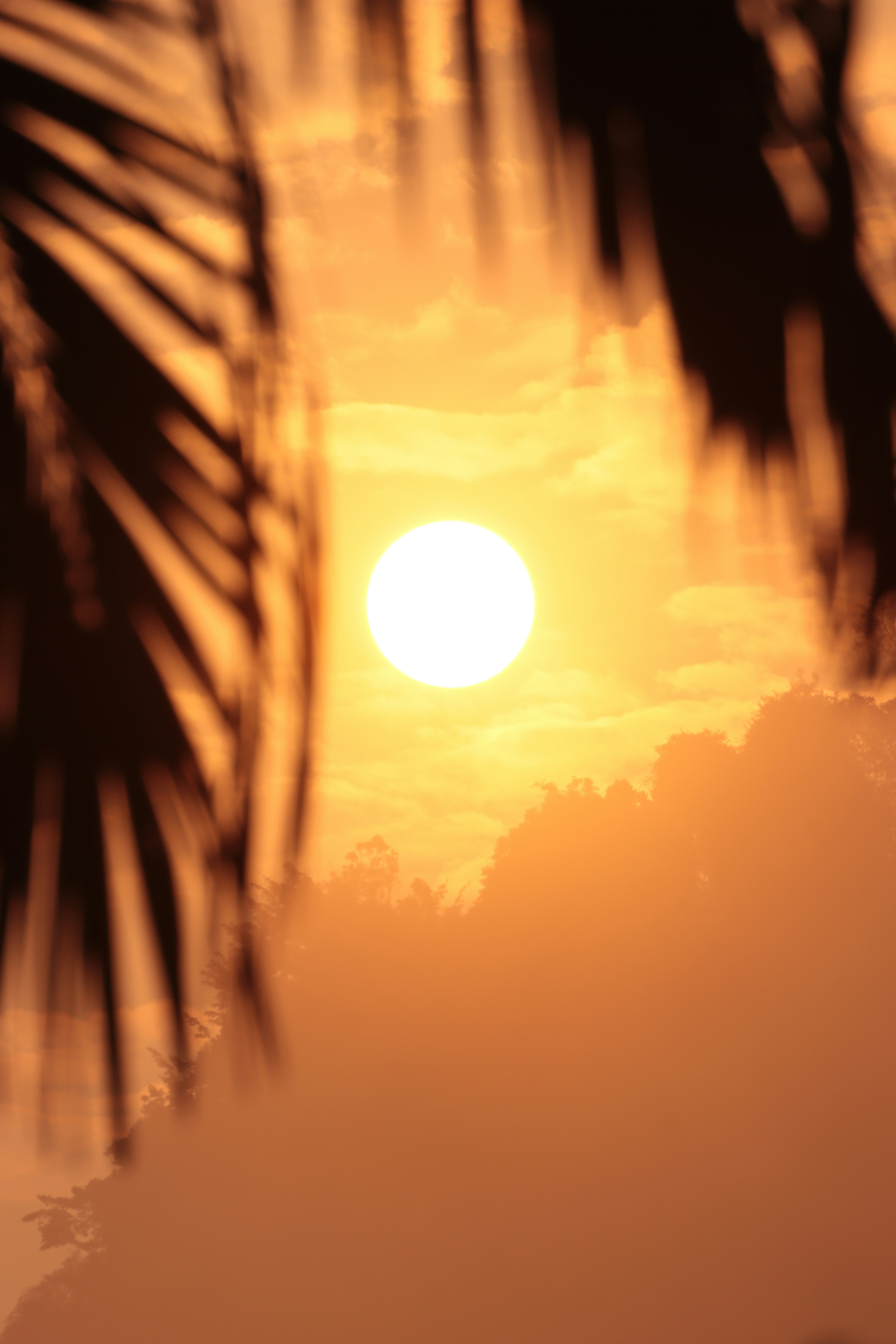 Photo by vincentvrstn