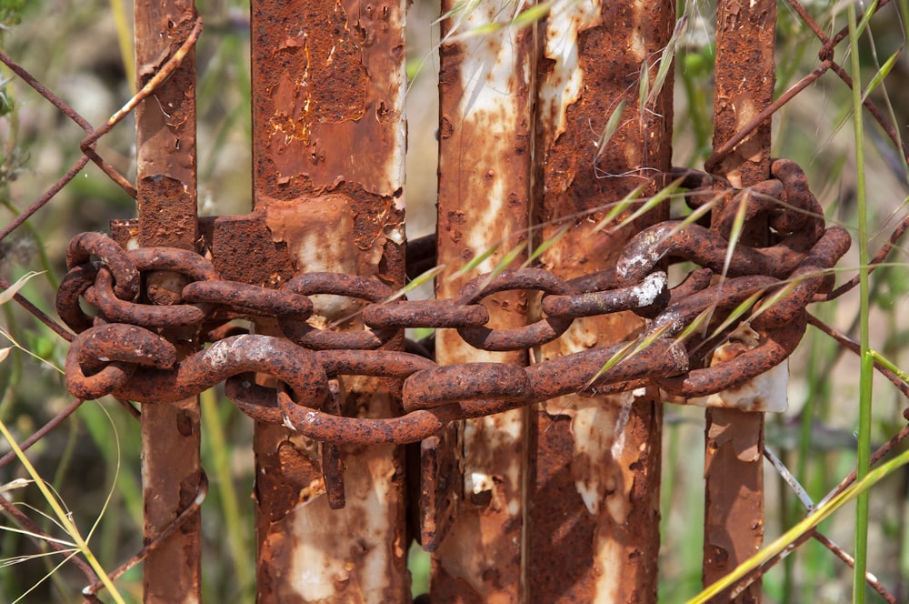 a rusted metal gate with a chain hanging from it