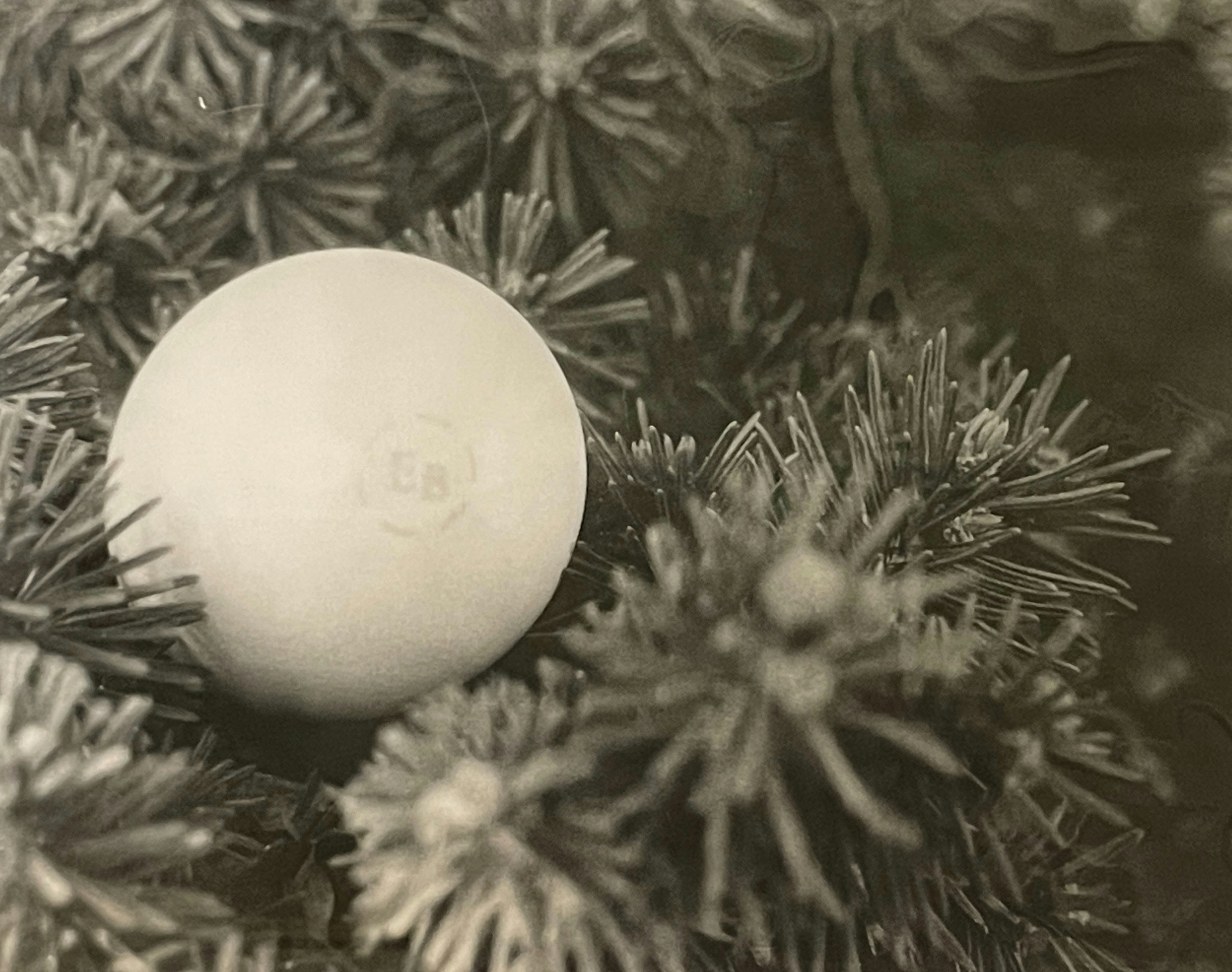 The 4+ Best Egg Roll Jokes Worst Jokes Ever