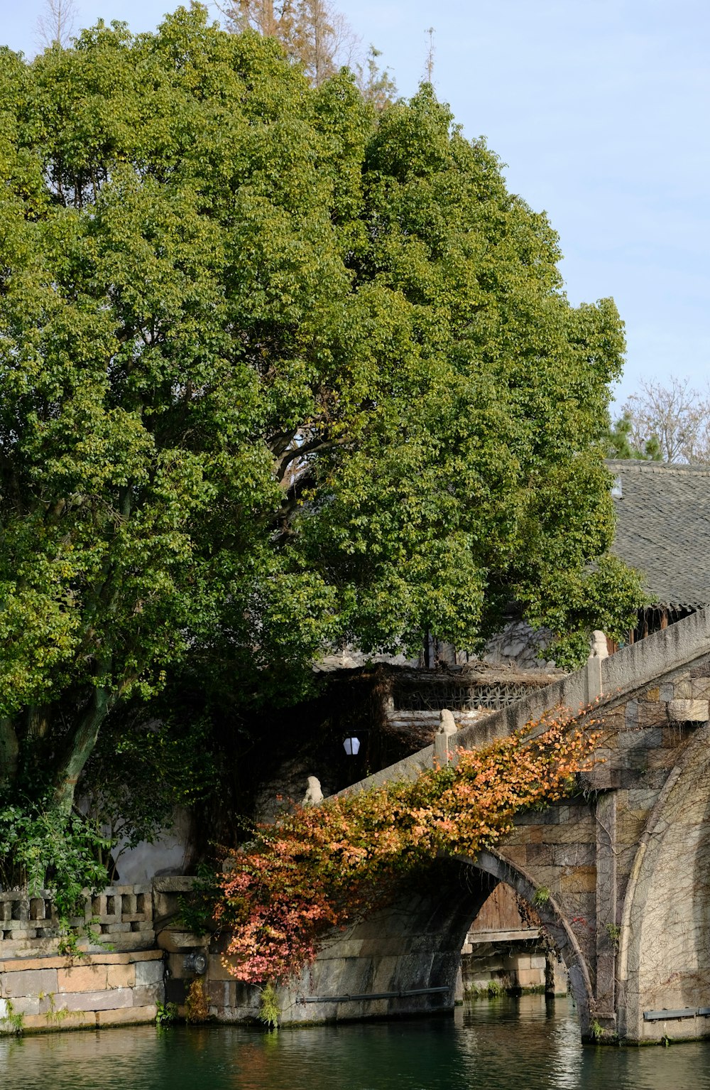 a bridge over a body of water surrounded by trees