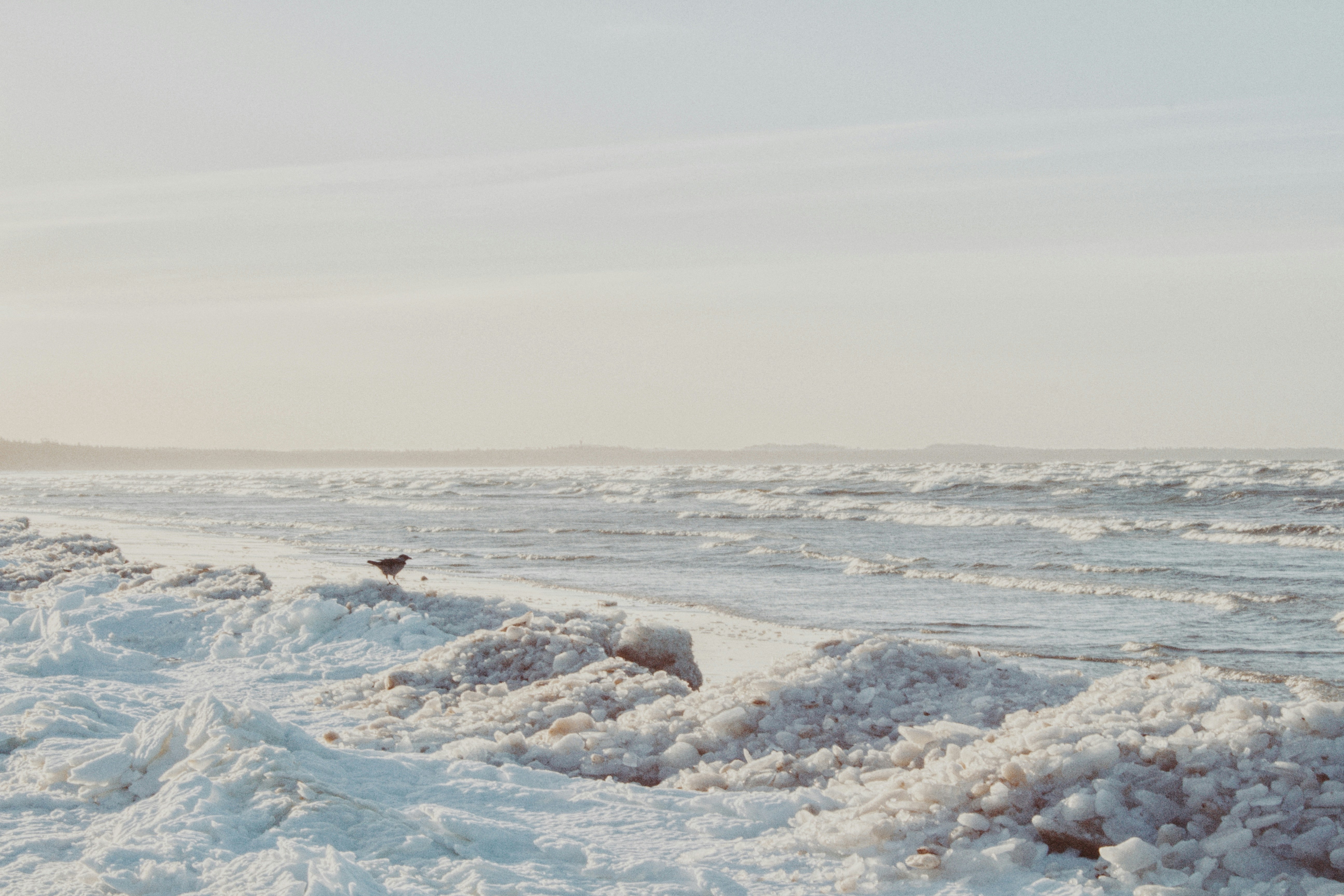 Photo by maximyuryshev