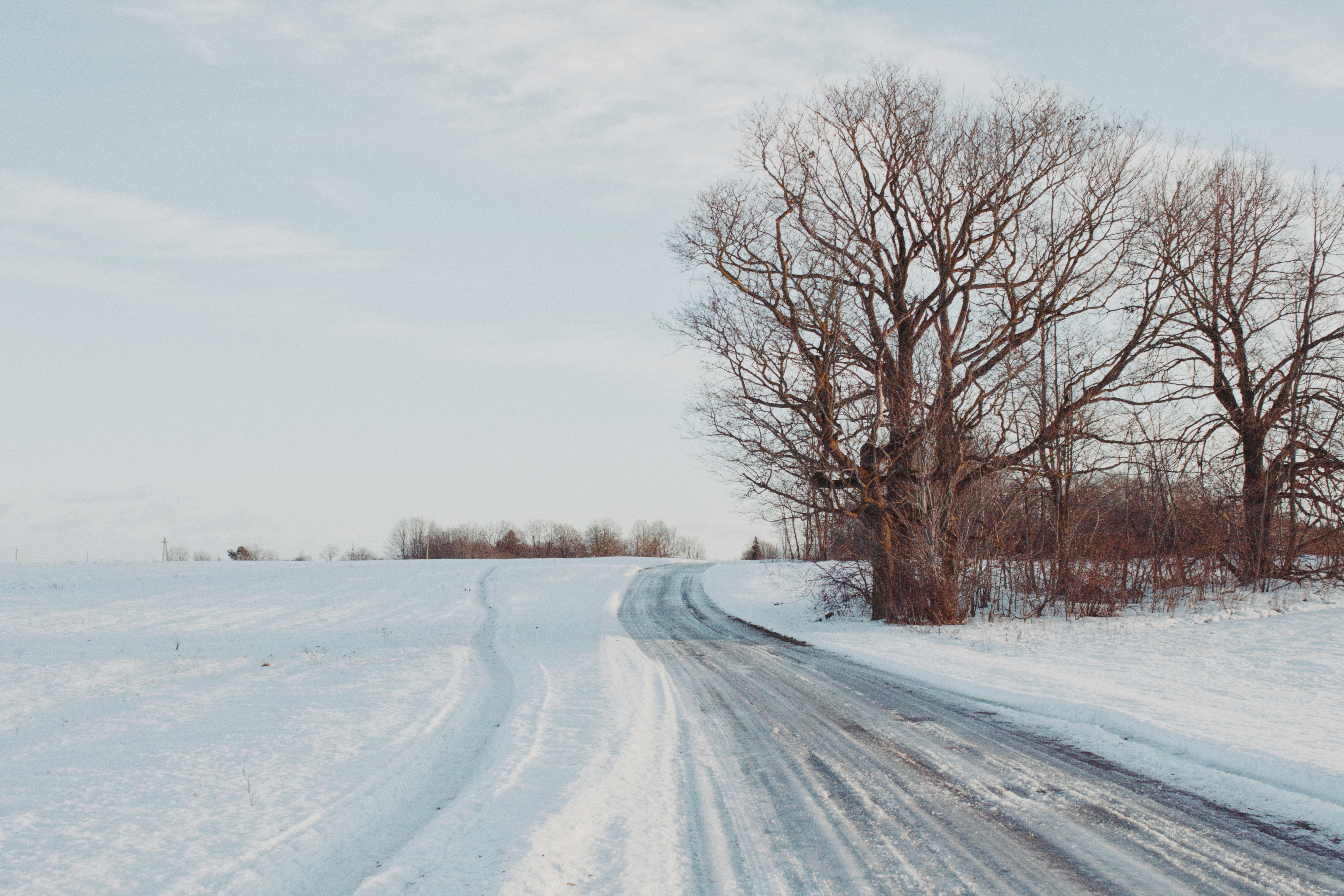 Photo by maximyuryshev