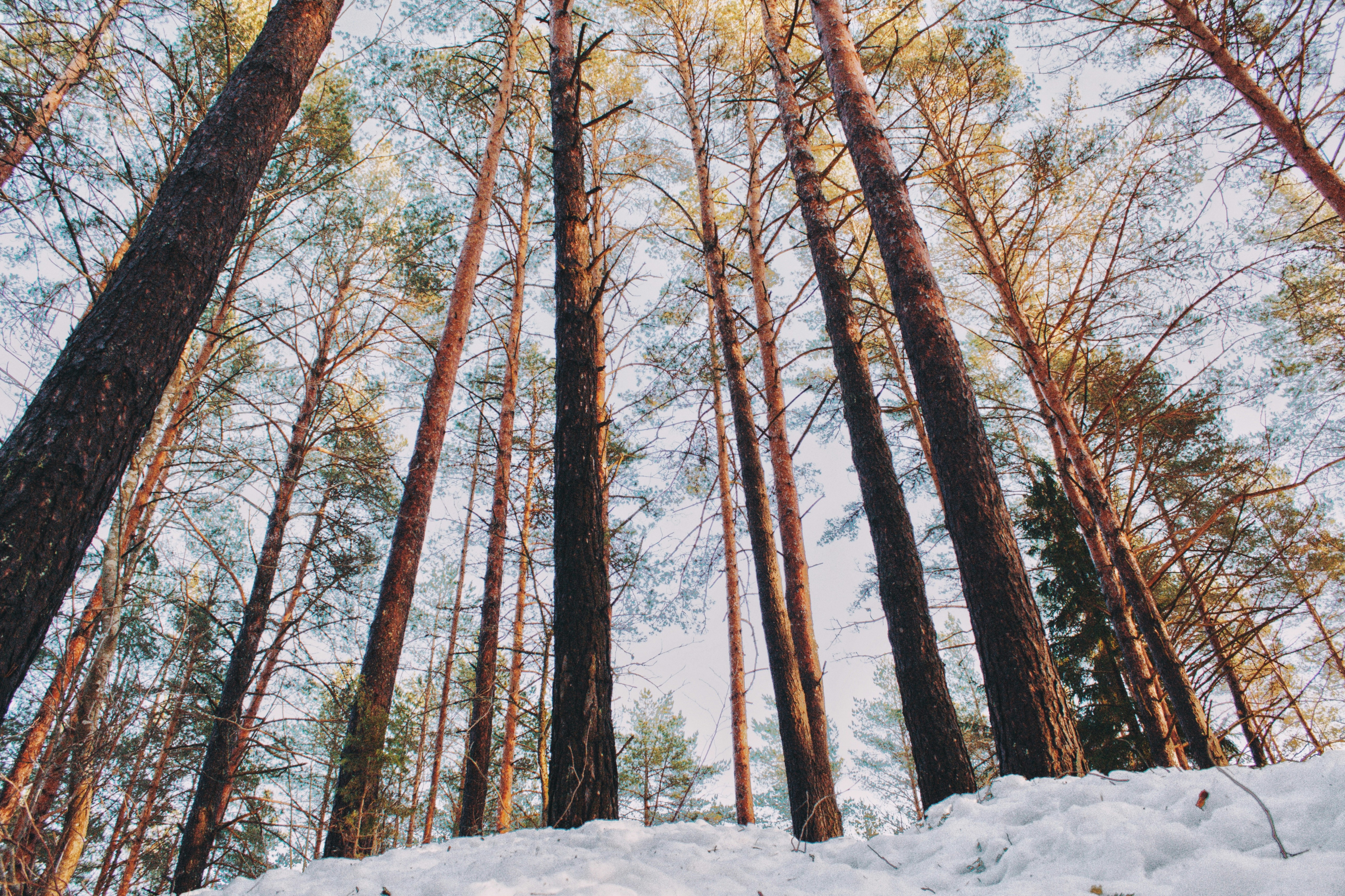 Photo by maximyuryshev