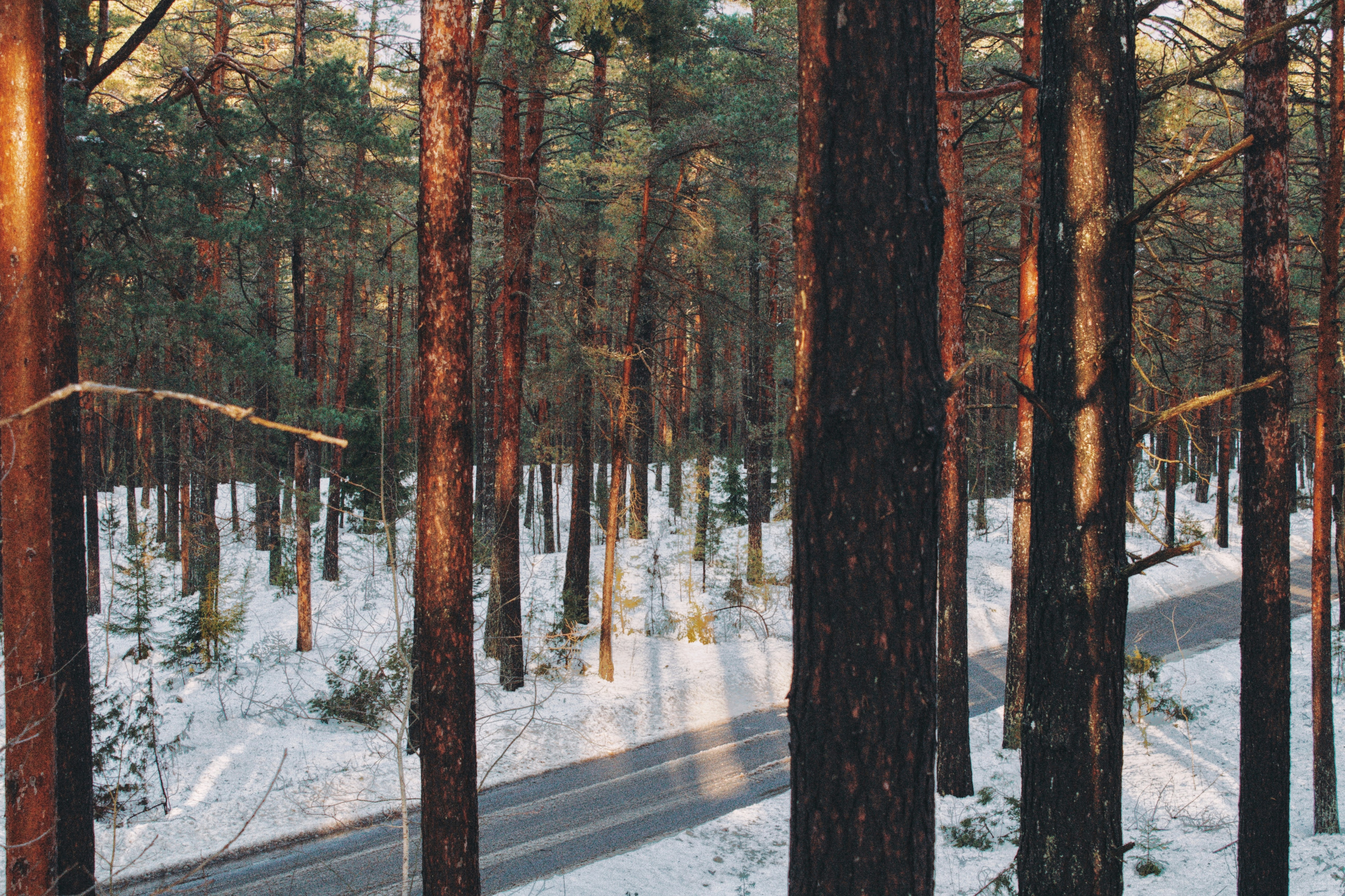 Photo by maximyuryshev