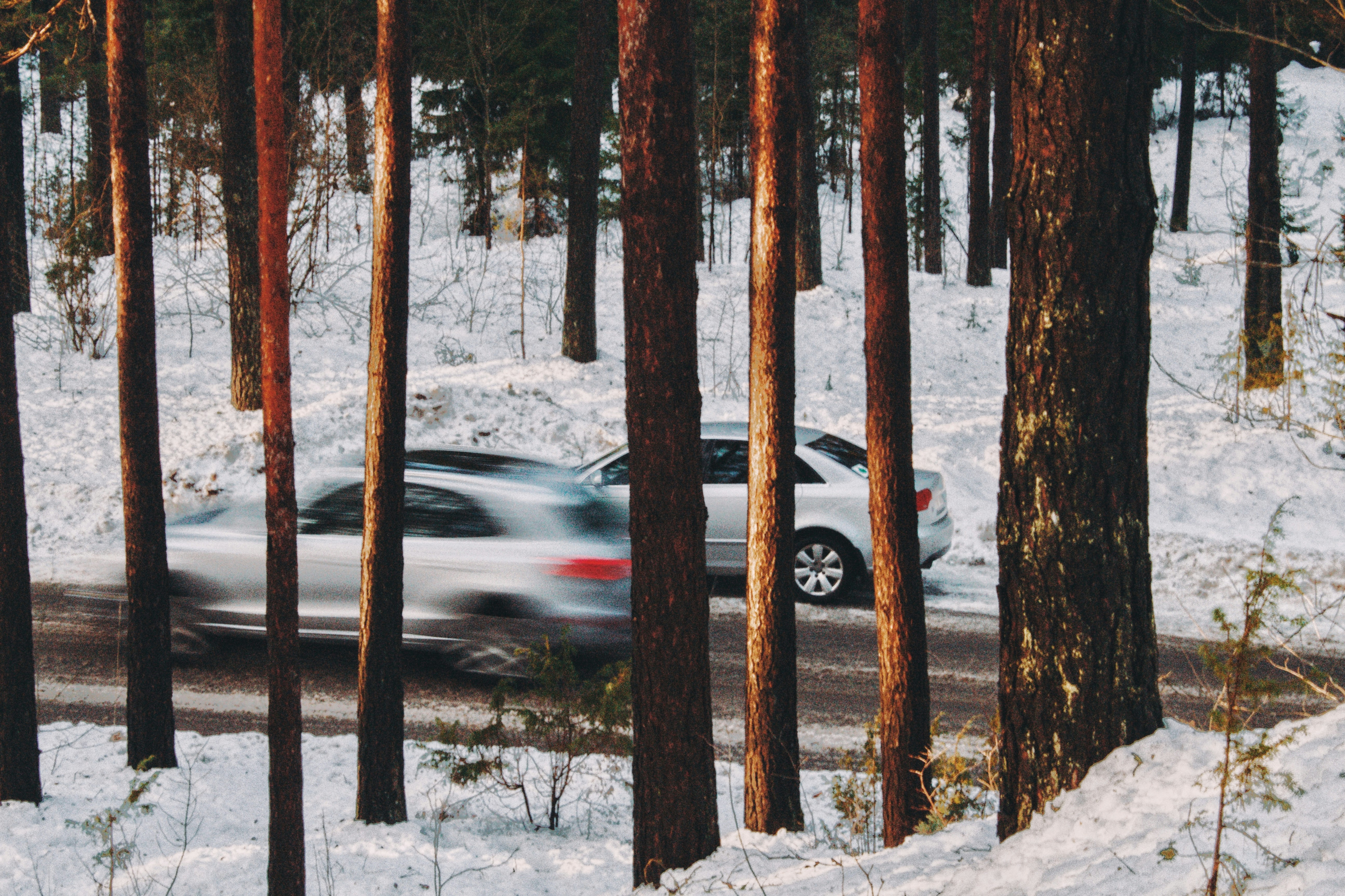 Photo by maximyuryshev