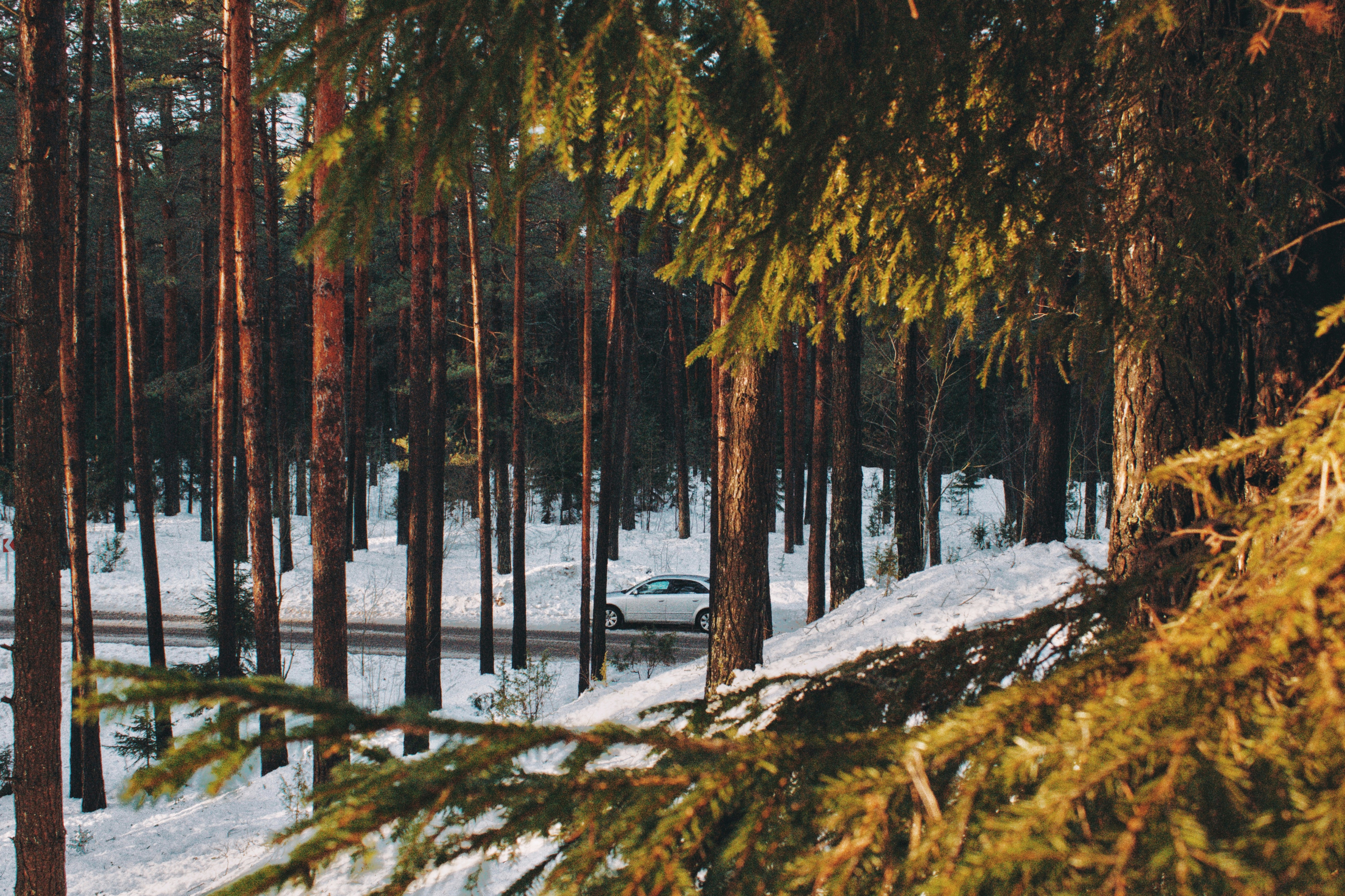 Photo by maximyuryshev