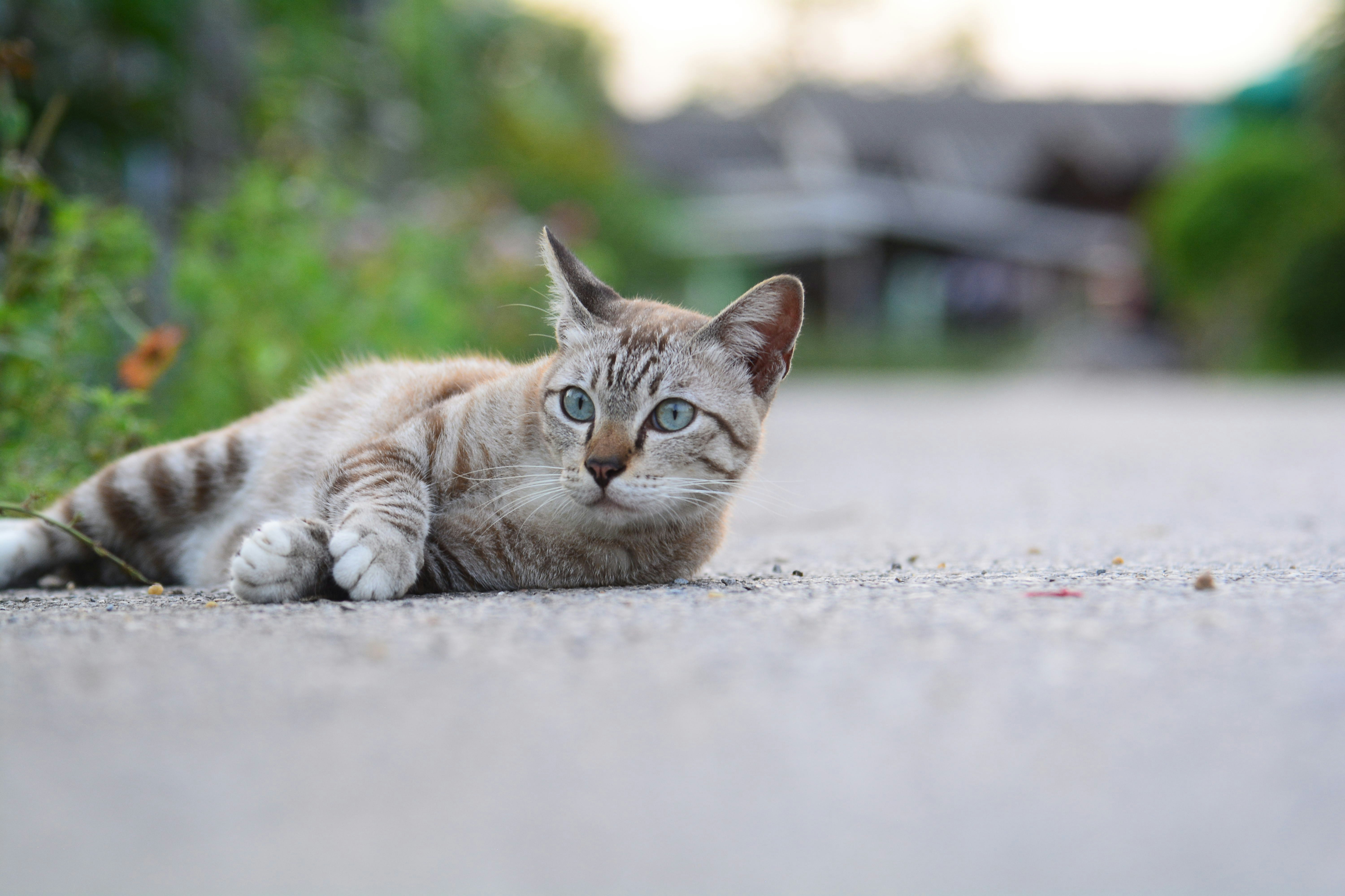 Photo by maiami24569