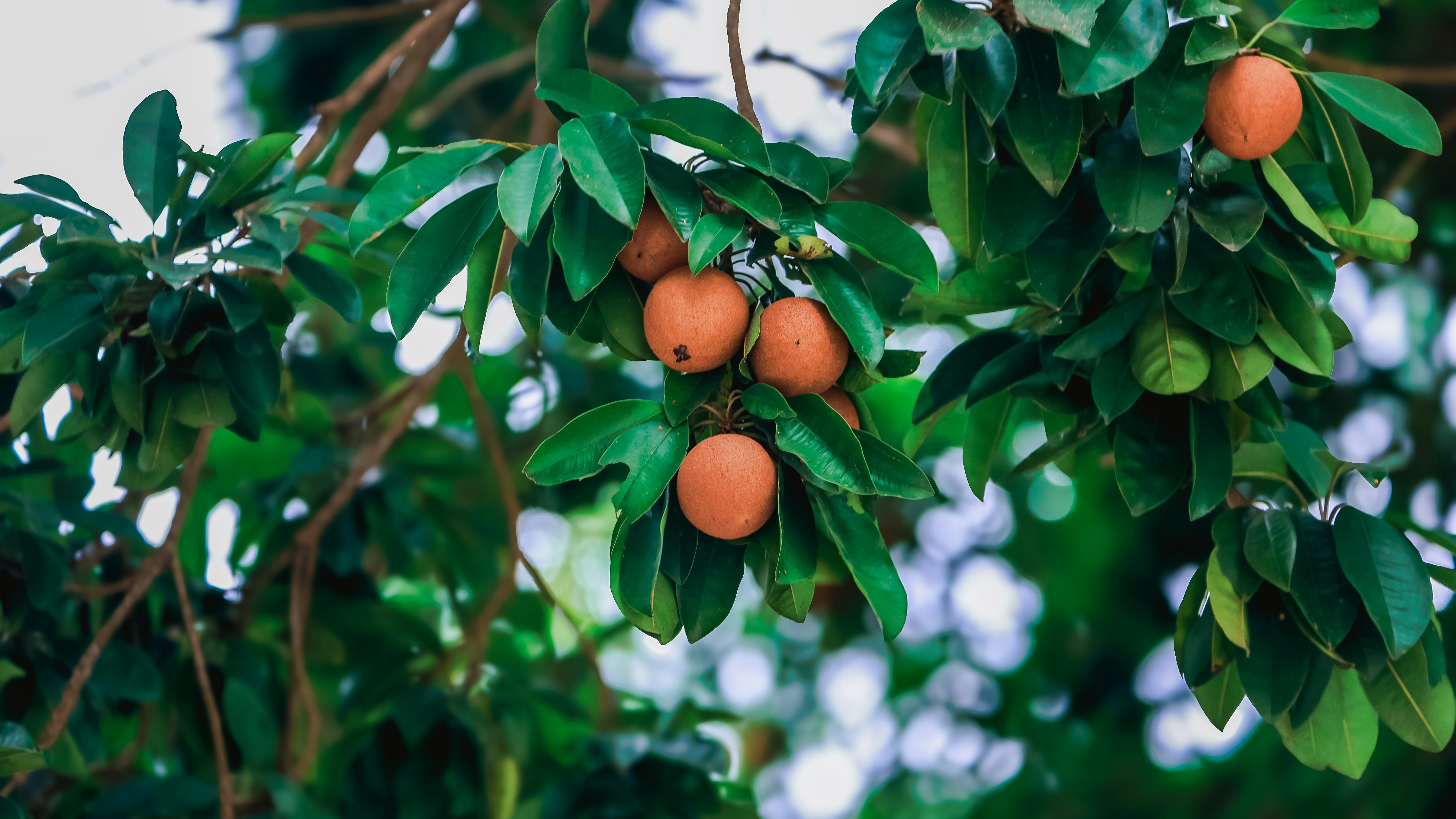 Photo by dickenslin76