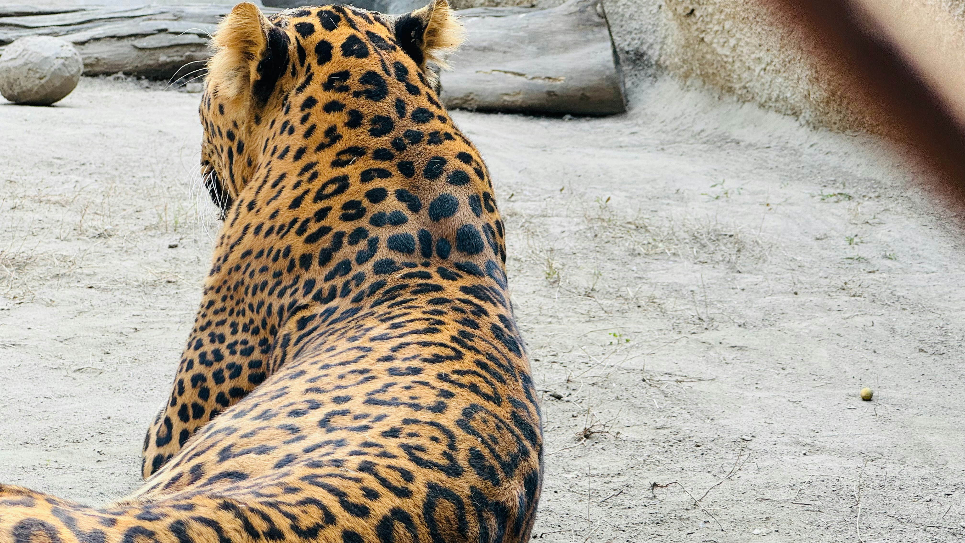 Photo by vikashsparxit