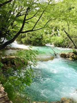 A serene natural landscape featuring a clear turquoise river winding through a lush green forest. Vibrant foliage arches over the water, creating dappled shade and emphasizing the tranquillity of the scene. The river flows over small rocks, generating gentle rapids and adding movement to the peaceful setting.