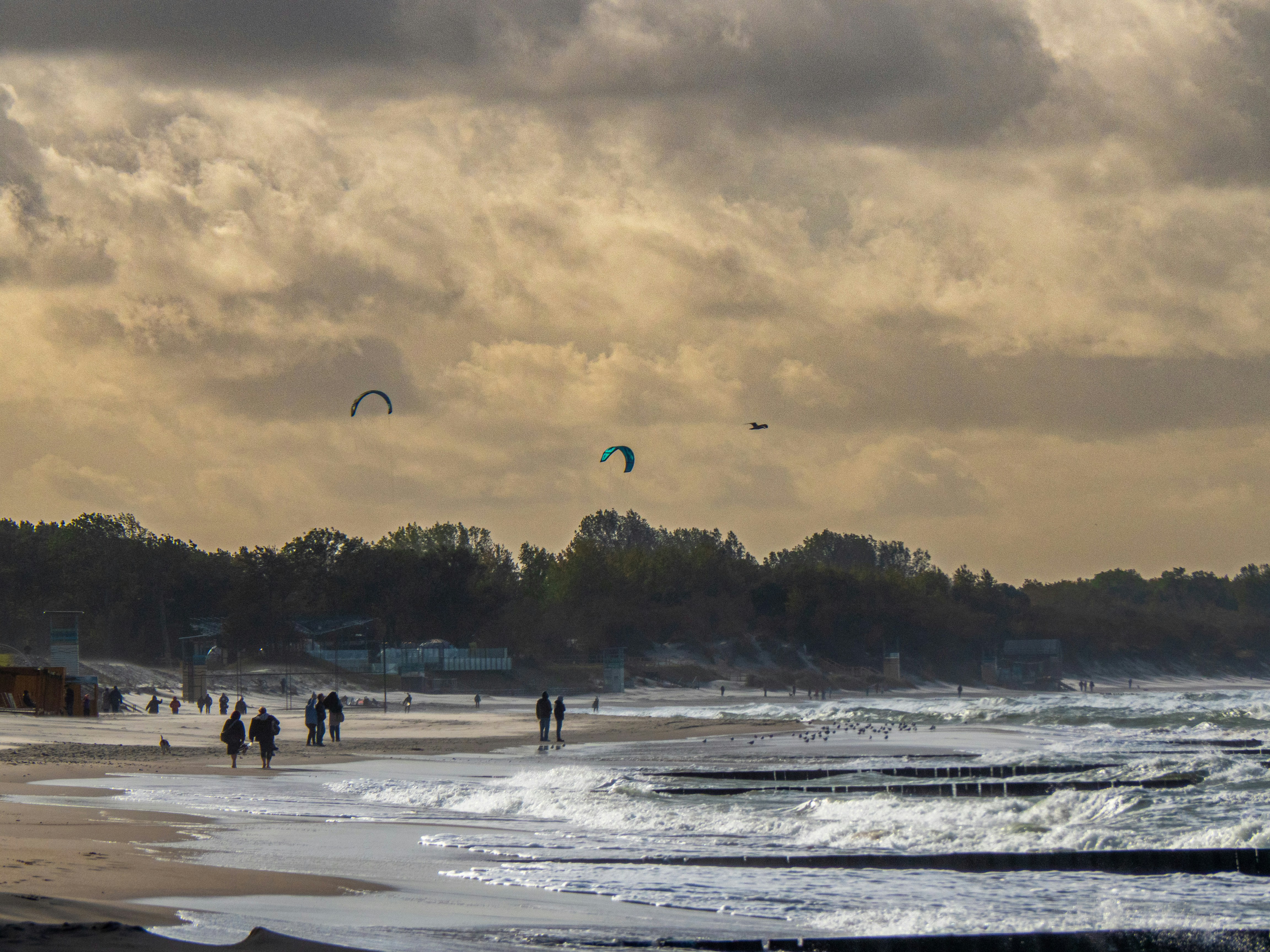 A group of people standing on top of a sandy beach
