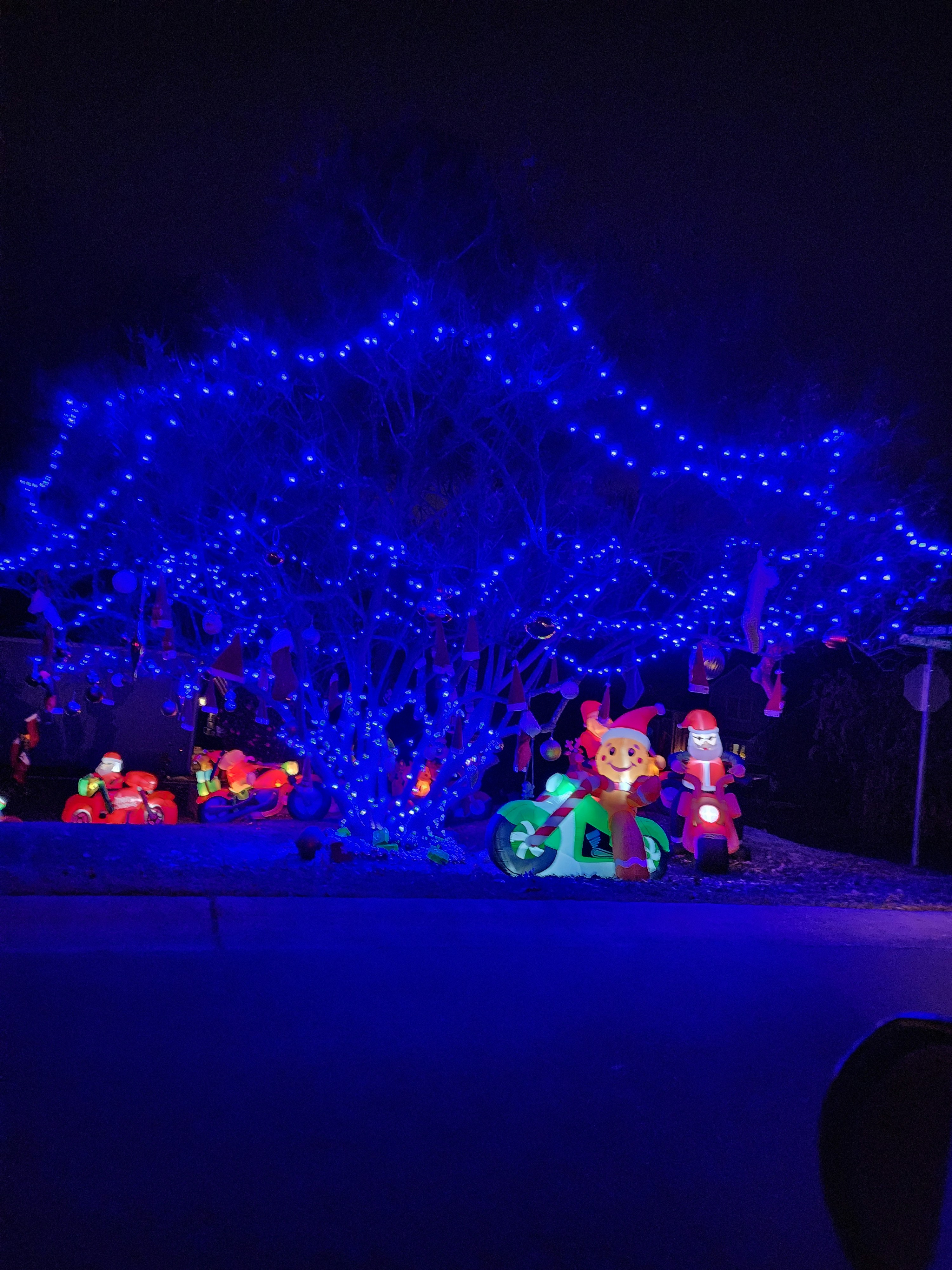 Transform Your Space with Beautiful Holiday Lights