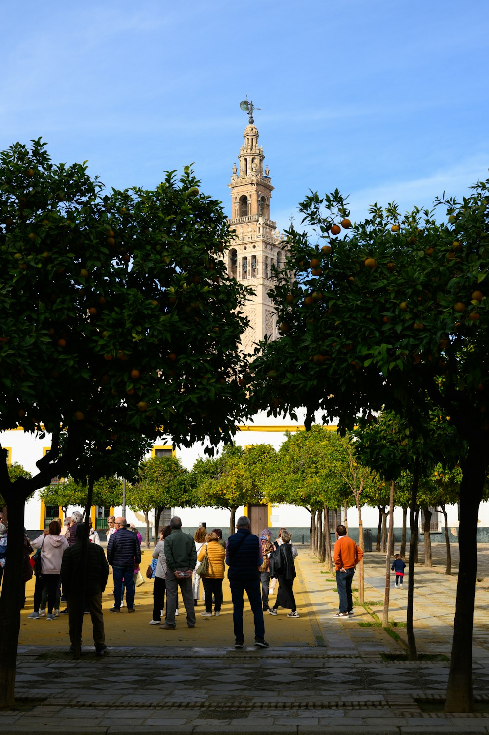 a group of people walking down a sidewalk next to trees