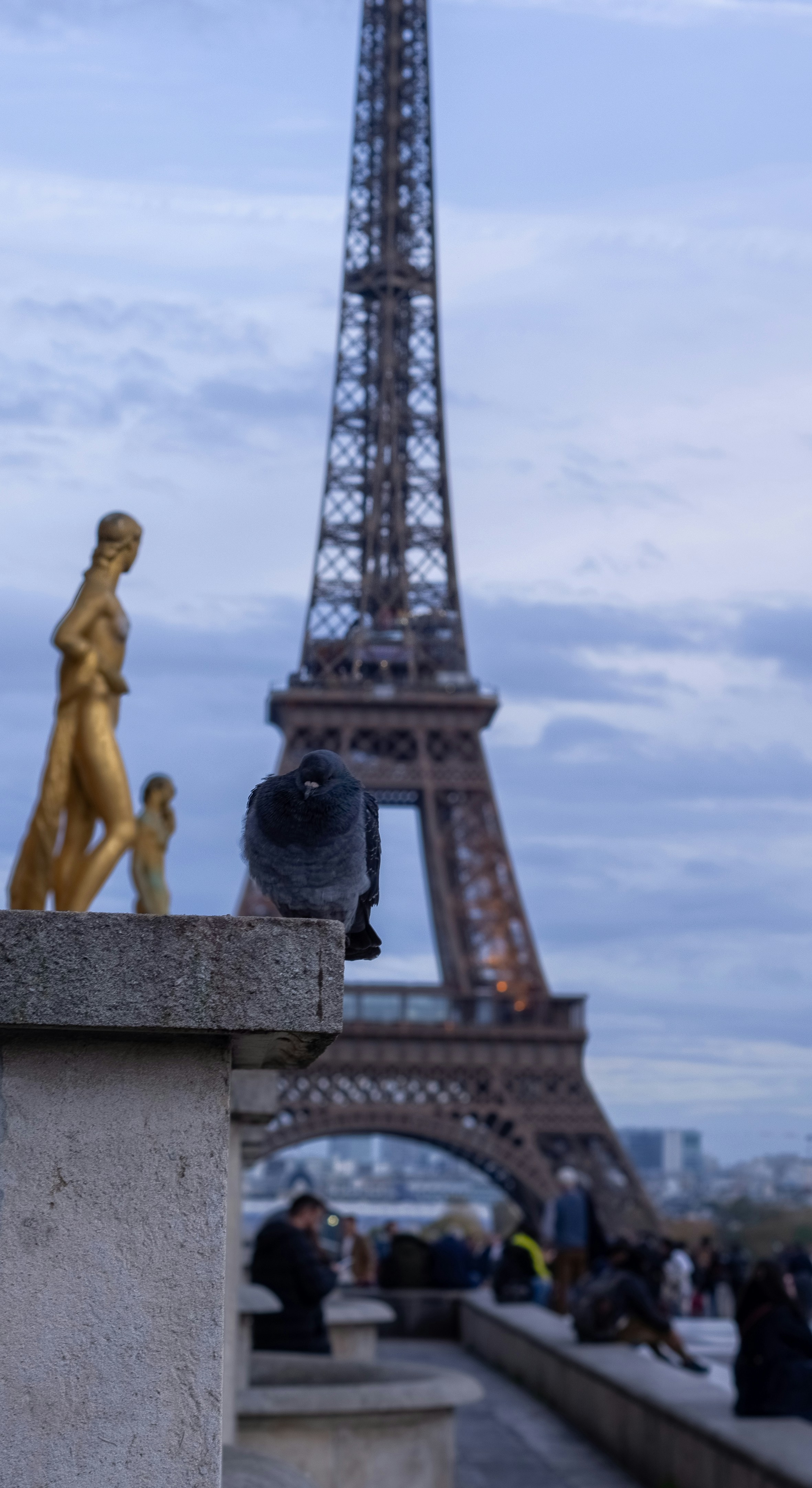 Photo by barrydtalleyduke3