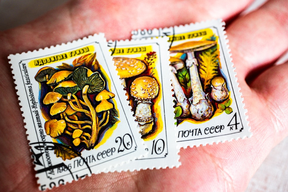 a hand holding three stamps with different types of mushrooms