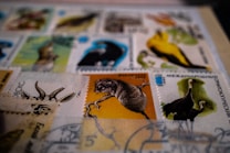 A collection of colorful postage stamps featuring various animals, including birds and mammals, are spread across a surface. The stamps are neatly arranged and display intricate illustrations.