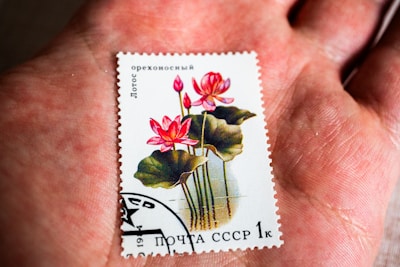 A postage stamp featuring vibrant pink lotus flowers with green leaves, held in the palm of a person's hand. The stamp has Cyrillic text, indicating it is from the USSR, and includes a postmark.