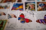 A collection of colorful postage stamps featuring butterfly illustrations. The focus is on a stamp with a vibrant butterfly in red, blue, and brown hues. Other stamps with different butterfly designs and colors are visible in the background, creating an artistic and eclectic display.