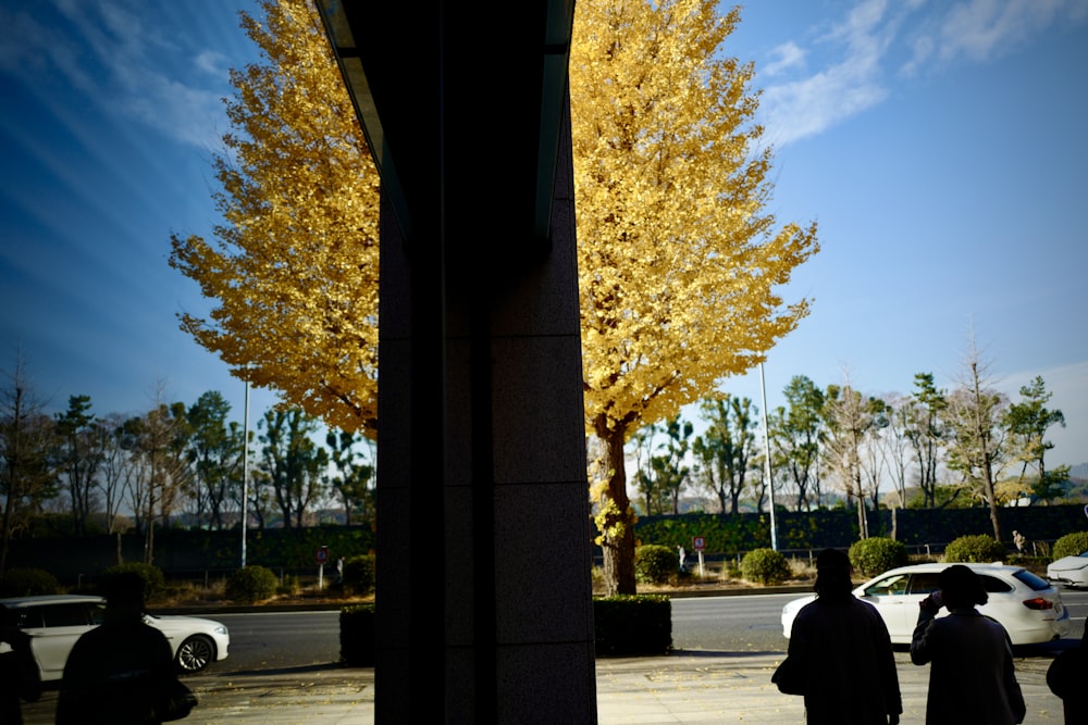 a group of people standing next to a tall yellow tree