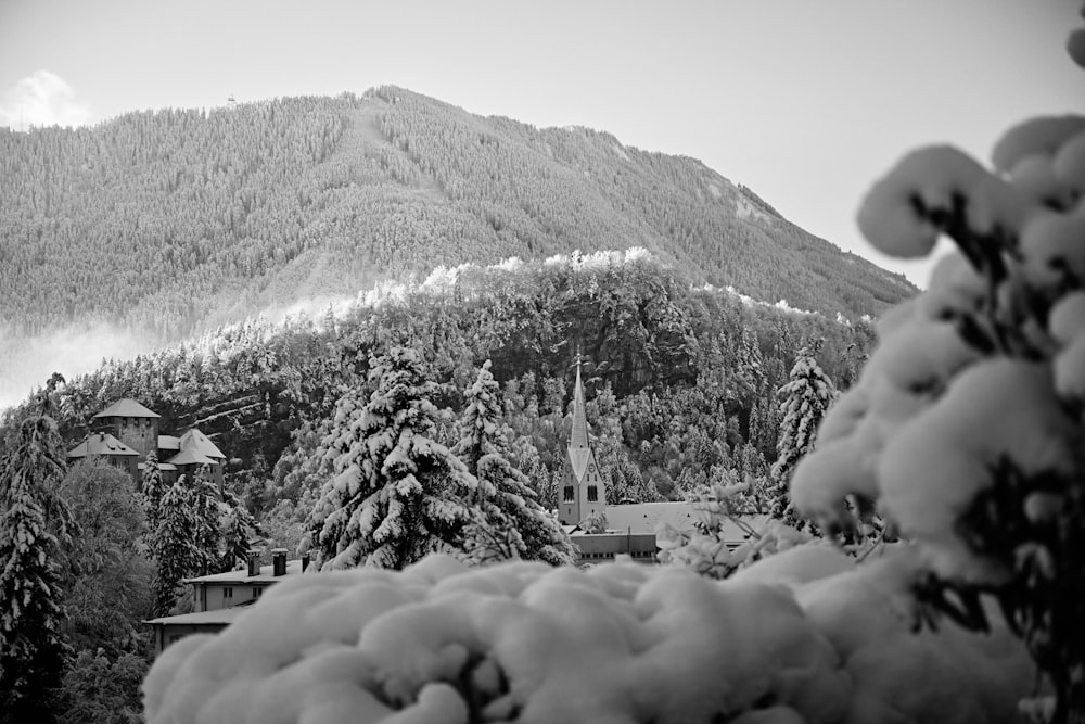 a mountain covered in snow next to a forest