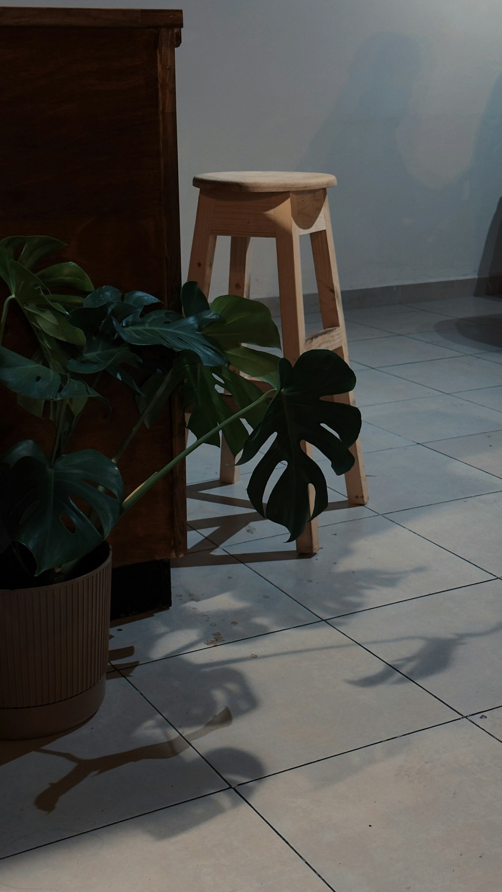 a potted plant sitting next to a wooden stool