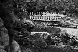 The image depicts an aged, weathered structure that resembles the skeleton of a wooden ship, surrounded by rocky terrain and dense vegetation. The scene feels rugged and untouched, lending a sense of history and decay.