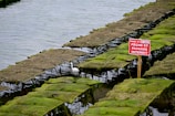 A series of oyster farming racks covered in green seaweed are positioned over water, with a sign in French warning against fishing and trespassing. A white bird is standing in the water near the racks.