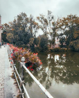 A peaceful riverside walkway in Porto with purple flowers blooming along the path during golden hour.