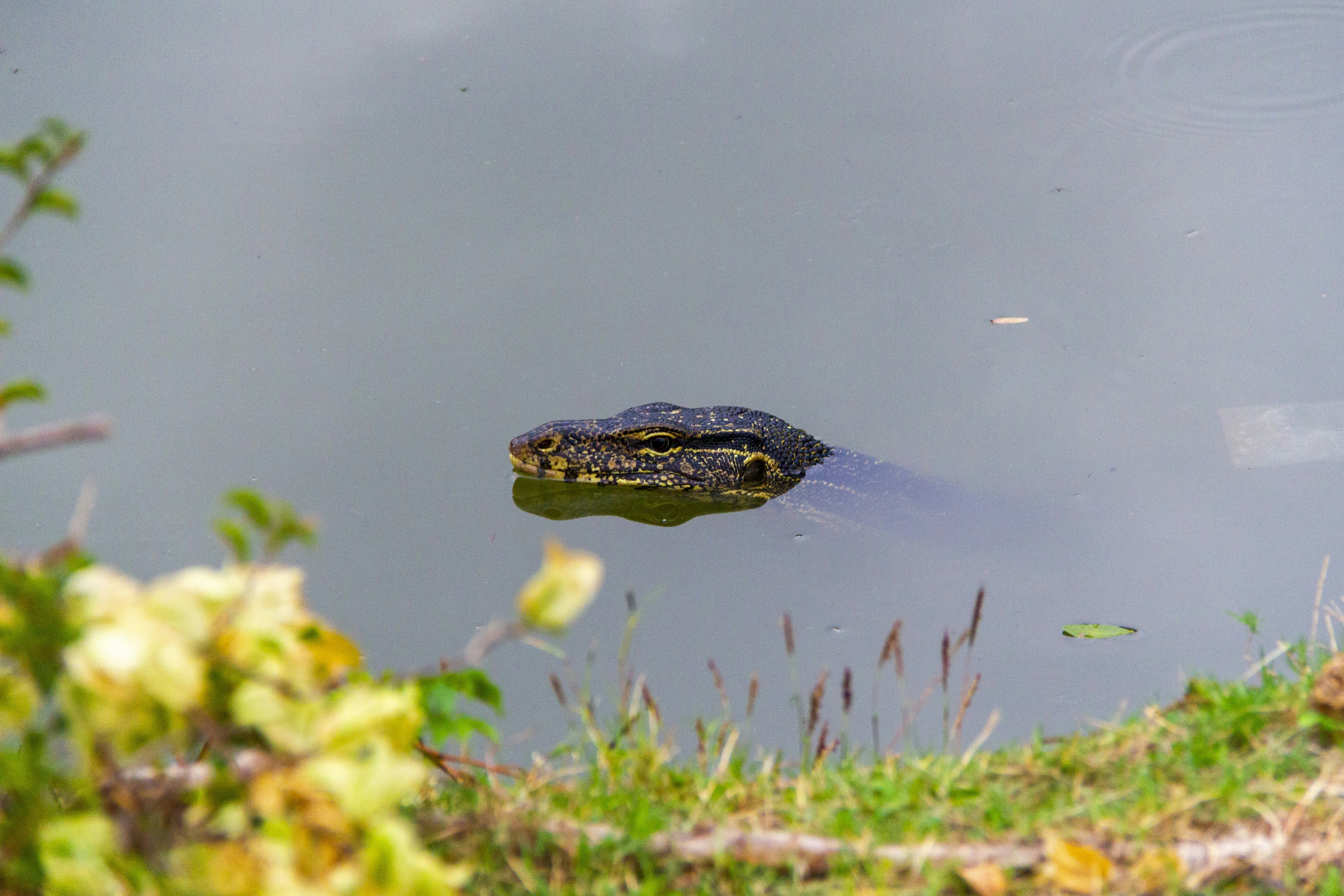 Photo by salty_morning