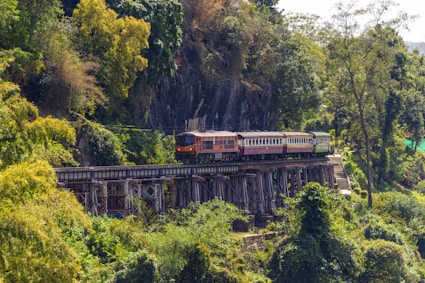 a train traveling over a bridge surrounded by trees