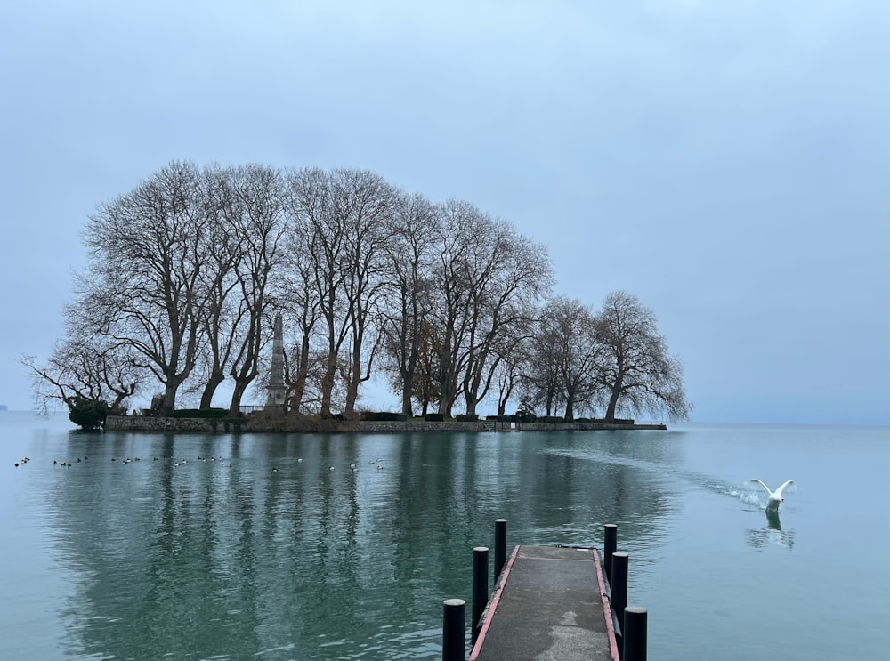 Un barco que viaja por un río junto a un muelle