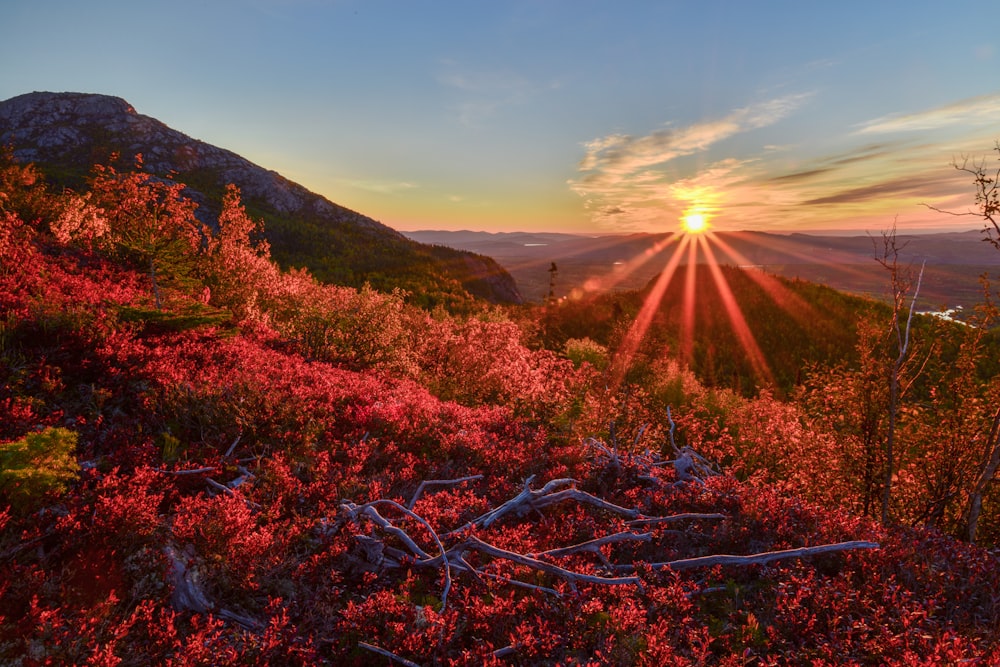 the sun is setting over the mountains and trees