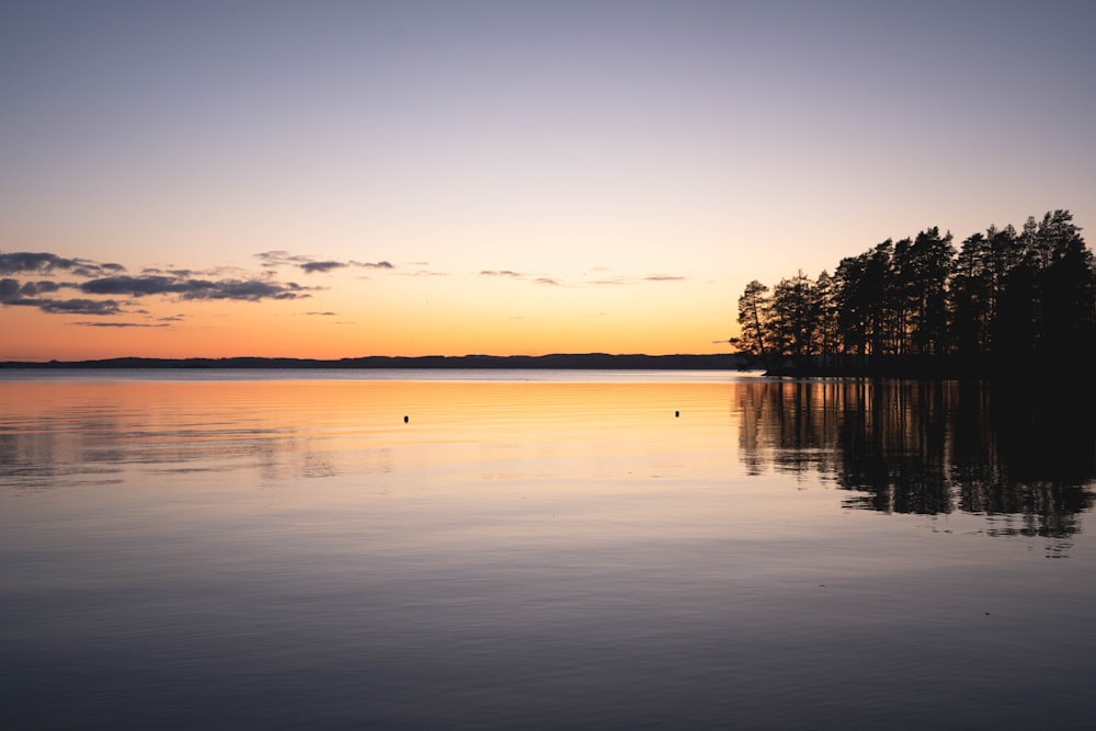 a body of water that has some trees in it