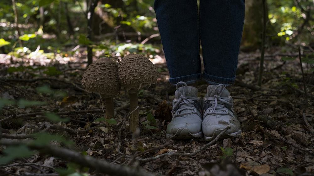 a person standing on a forest floor next to a mushroom