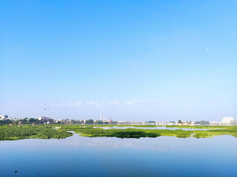 a large body of water surrounded by a lush green field