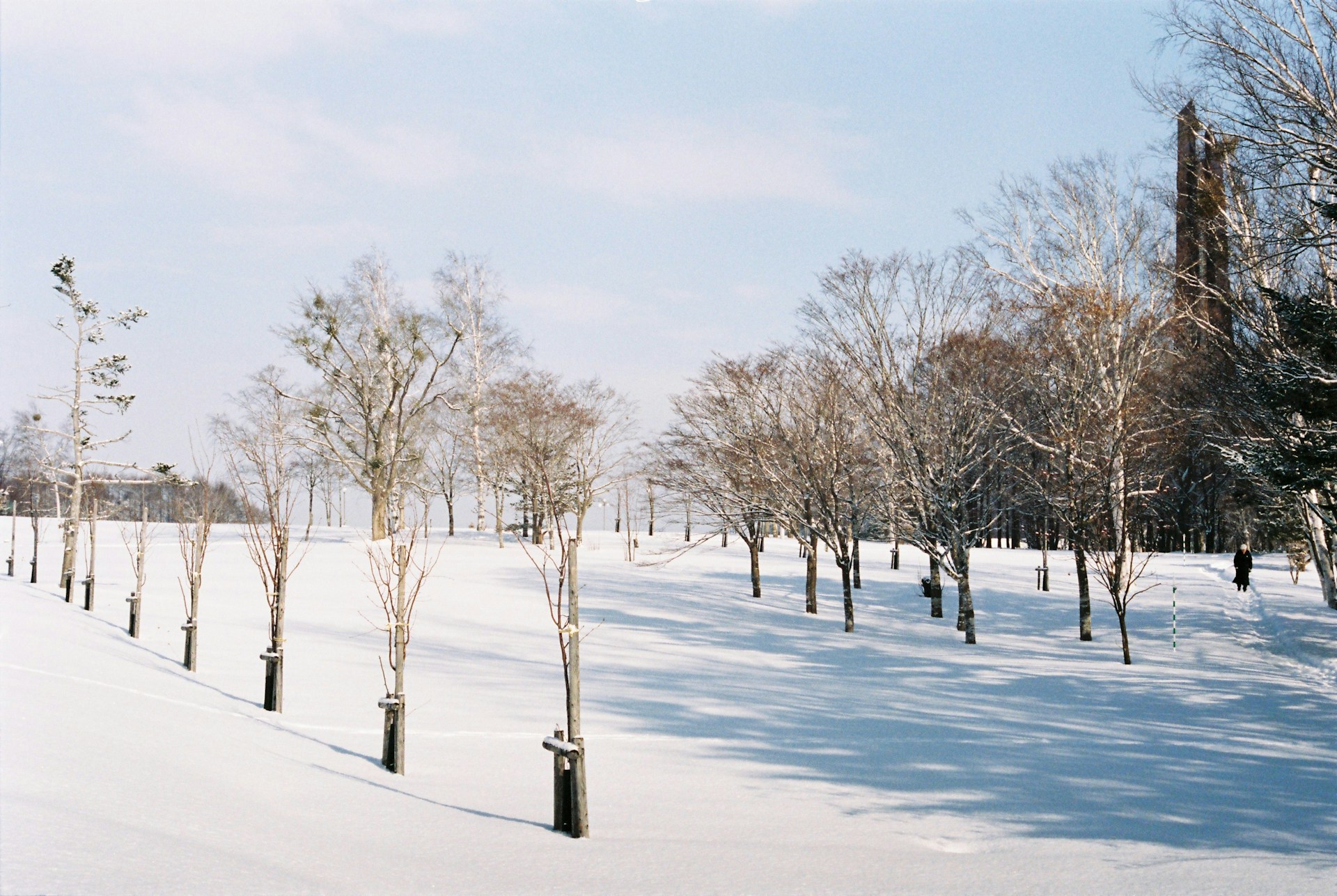a snowy field with trees and a clock tower in the distance