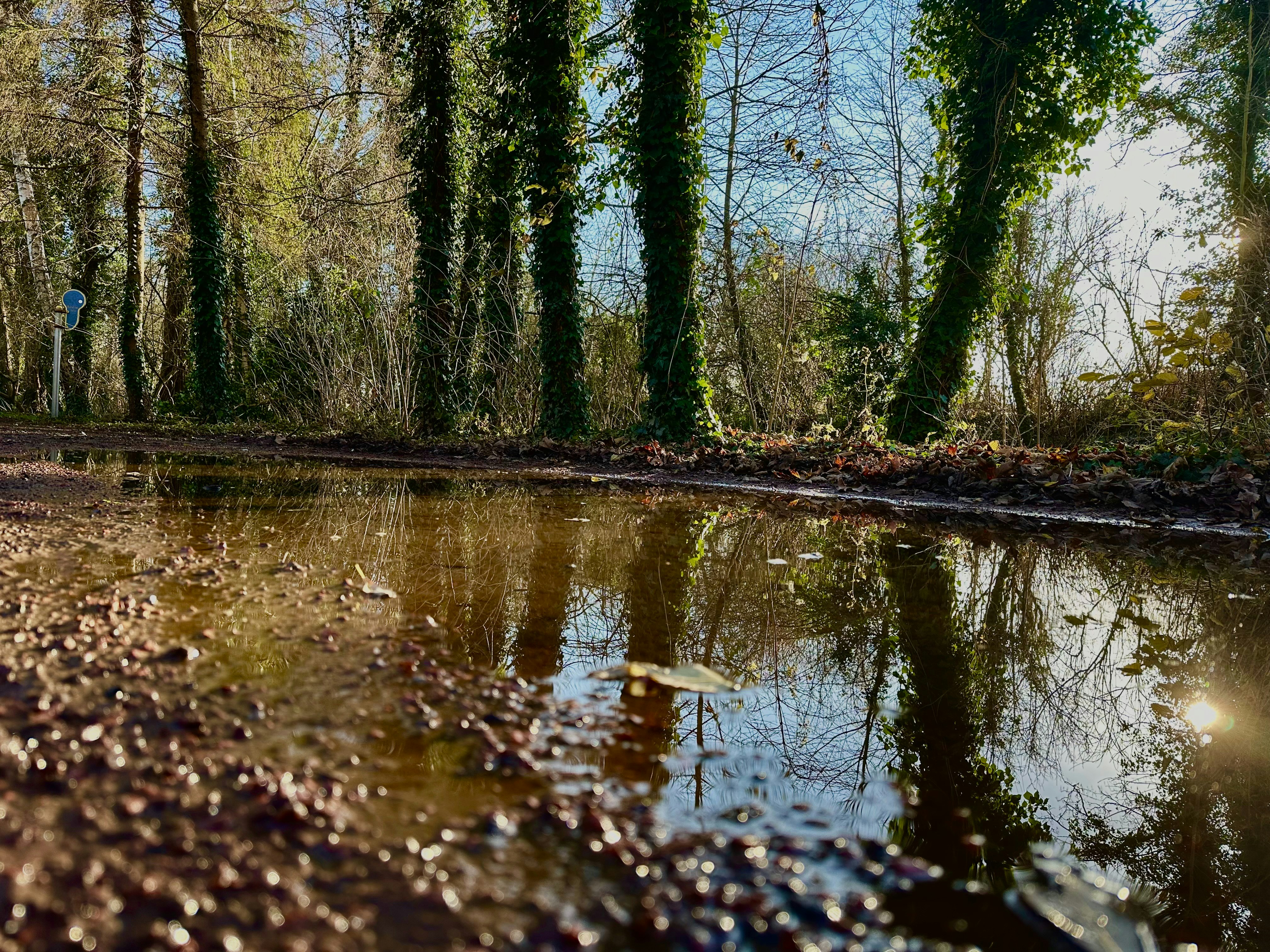 Jardin de l'Odyssée