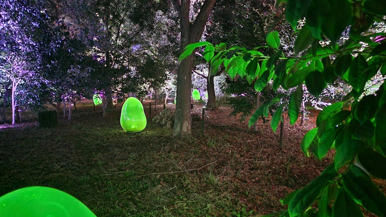 A glowing enchanted forest with twinkling fairy lights and whimsical creatures peeking through the trees.