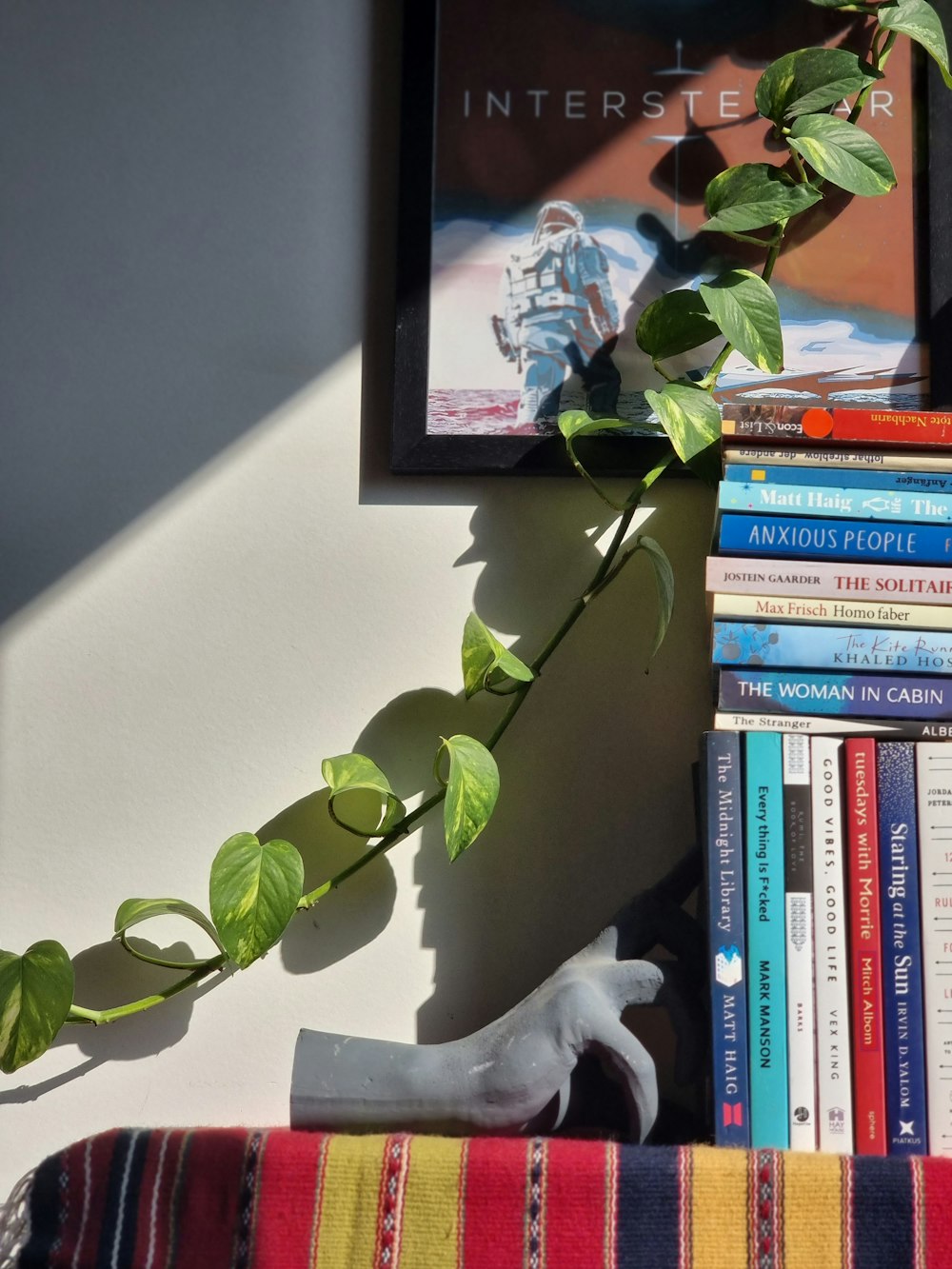 a picture of a plant and some books