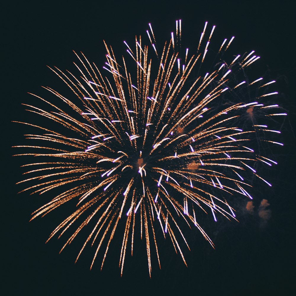 a large fireworks is lit up in the night sky