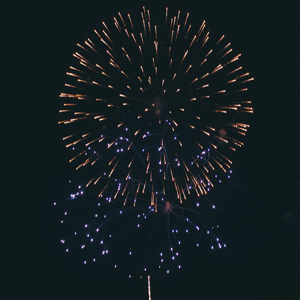 a large fireworks is lit up in the night sky