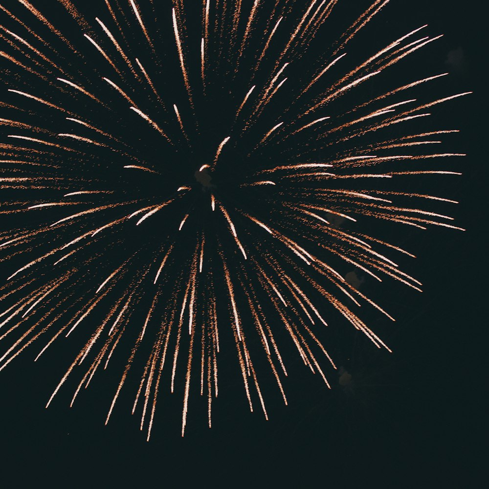 a large fireworks is lit up in the night sky