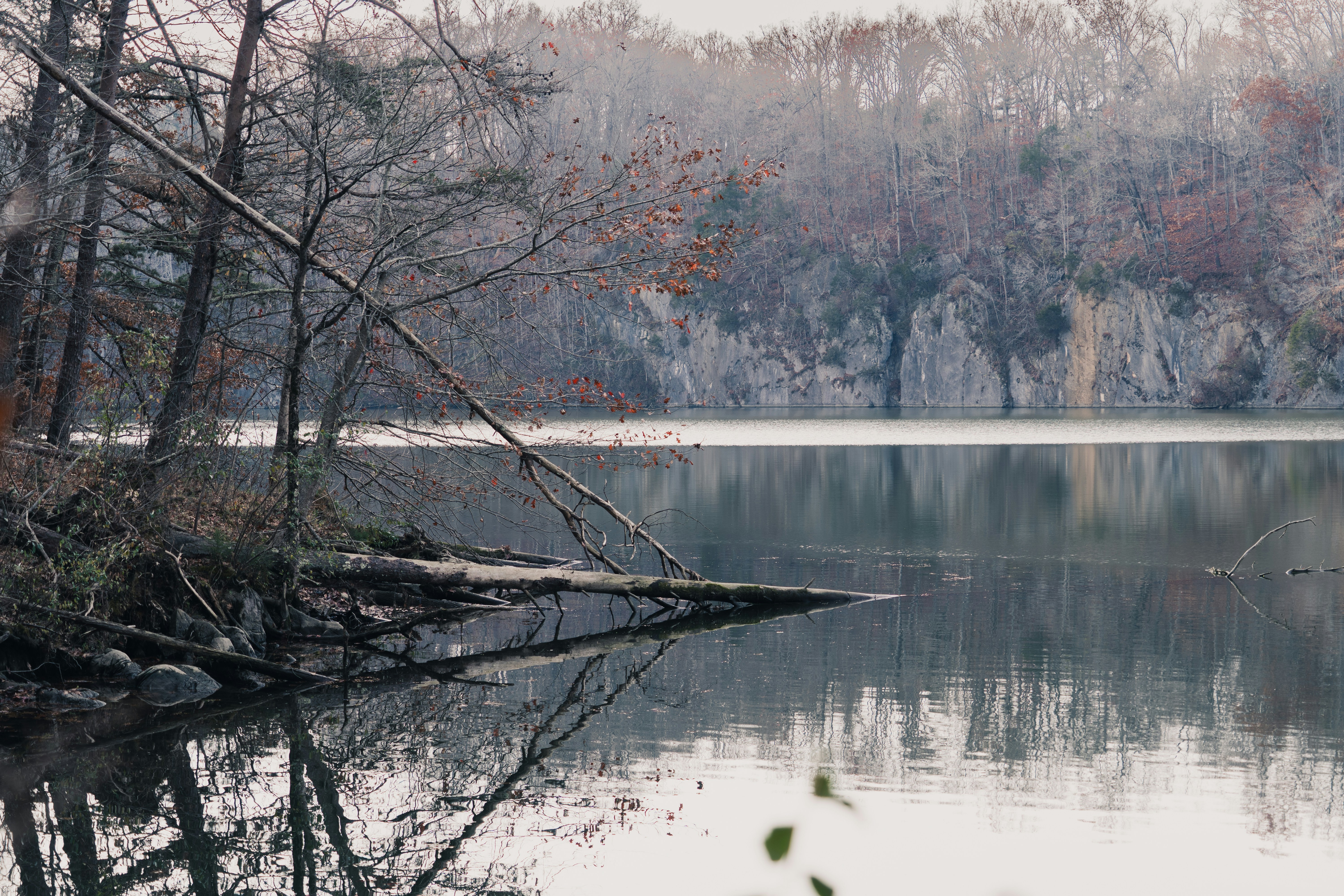a large body of water surrounded by trees