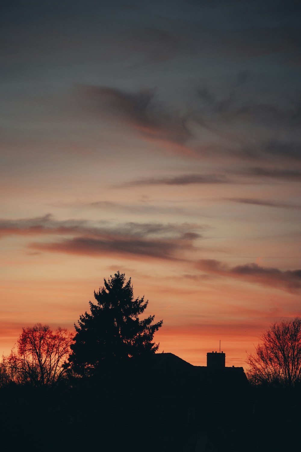 a tree is silhouetted against a sunset sky