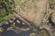 An aerial view of a landscape featuring a mix of grassy fields, winding waterways, and patches of greenery. A small, possibly man-made structure is nestled within the trees on the lower end of the field, surrounded by dense vegetation. The terrain shows signs of natural wear, likely due to water erosion, creating intricate patterns.