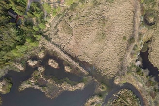 An aerial view of a landscape featuring a mix of grassy fields, winding waterways, and patches of greenery. A small, possibly man-made structure is nestled within the trees on the lower end of the field, surrounded by dense vegetation. The terrain shows signs of natural wear, likely due to water erosion, creating intricate patterns.