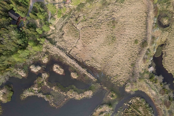 An aerial view of a landscape featuring a mix of grassy fields, winding waterways, and patches of greenery. A small, possibly man-made structure is nestled within the trees on the lower end of the field, surrounded by dense vegetation. The terrain shows signs of natural wear, likely due to water erosion, creating intricate patterns.