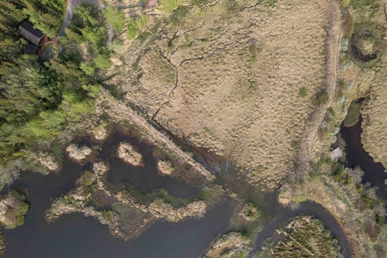 An aerial view of a landscape featuring a mix of grassy fields, winding waterways, and patches of greenery. A small, possibly man-made structure is nestled within the trees on the lower end of the field, surrounded by dense vegetation. The terrain shows signs of natural wear, likely due to water erosion, creating intricate patterns.