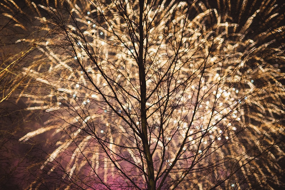 a fireworks display in the night sky with a tree in the foreground